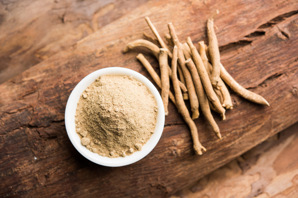 The Powerful Benefits of Ashwagandha: Ancient Root, Modern Calm